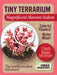 Tiny Terrarium Sedum - Magificent Maroon Sedum - Saltire Games