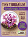 Tiny Terrarium Sedum - Royal Purple Sedum - Saltire Games