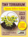 Tiny Terrarium Sedum - Sunny Yellow Sedum - Saltire Games