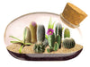 Desert Mouse Glass Terrarium - Saltire Games
