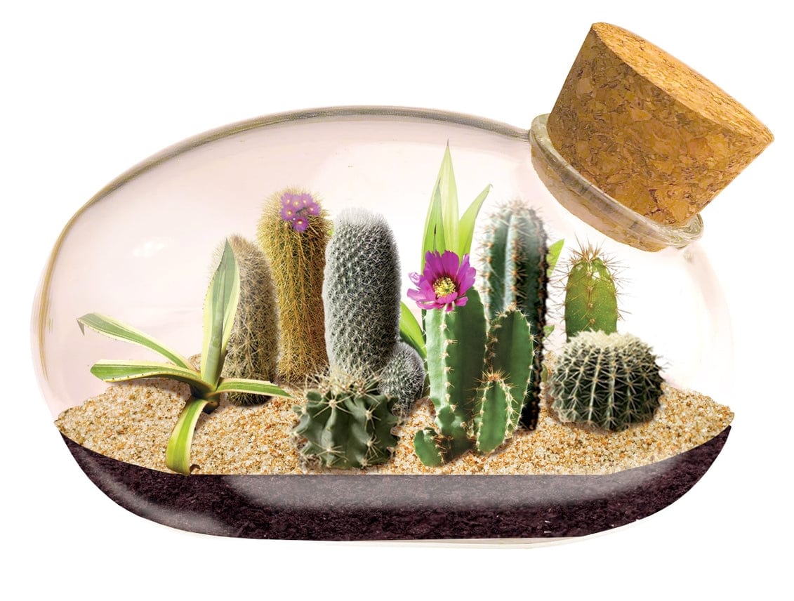 Desert Mouse Glass Terrarium - Saltire Games