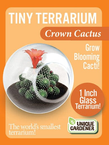 Tiny Terrarium Cacti - Crown Cactus - Saltire Games