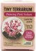 Tiny Terrarium Sedum - Dancing Pink Sedum - Saltire Games