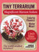 Tiny Terrarium Sedum - Magificent Maroon Sedum - Saltire Games