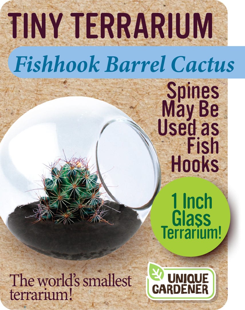 Fishhook Barrel Cactus - Saltire Games