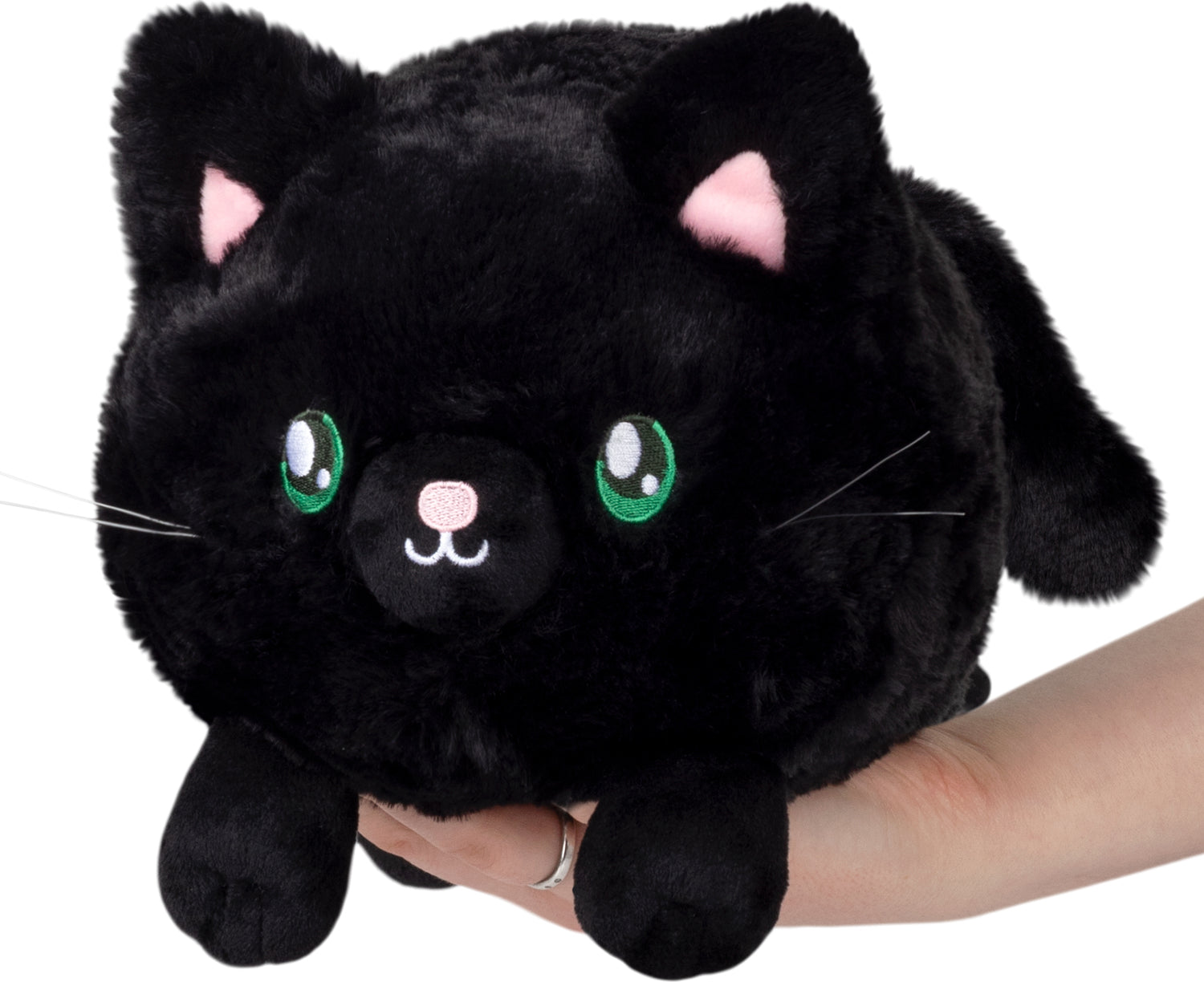 Mini Squishable Black Kitty - Saltire Games