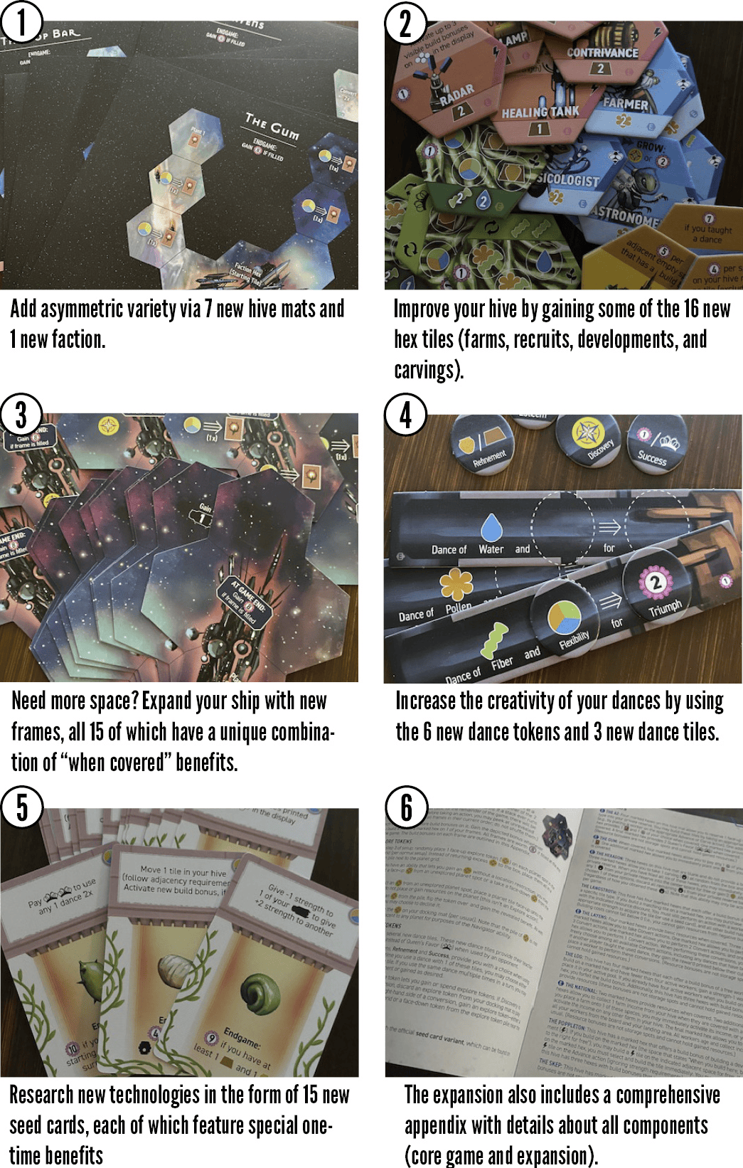 Board Games - Expansions Stonemaier Games Apiary: Expanding the Hive