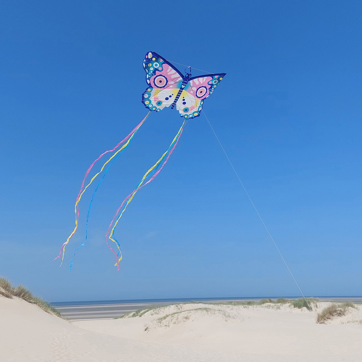 Maxi Butterfly Kite - Saltire Games