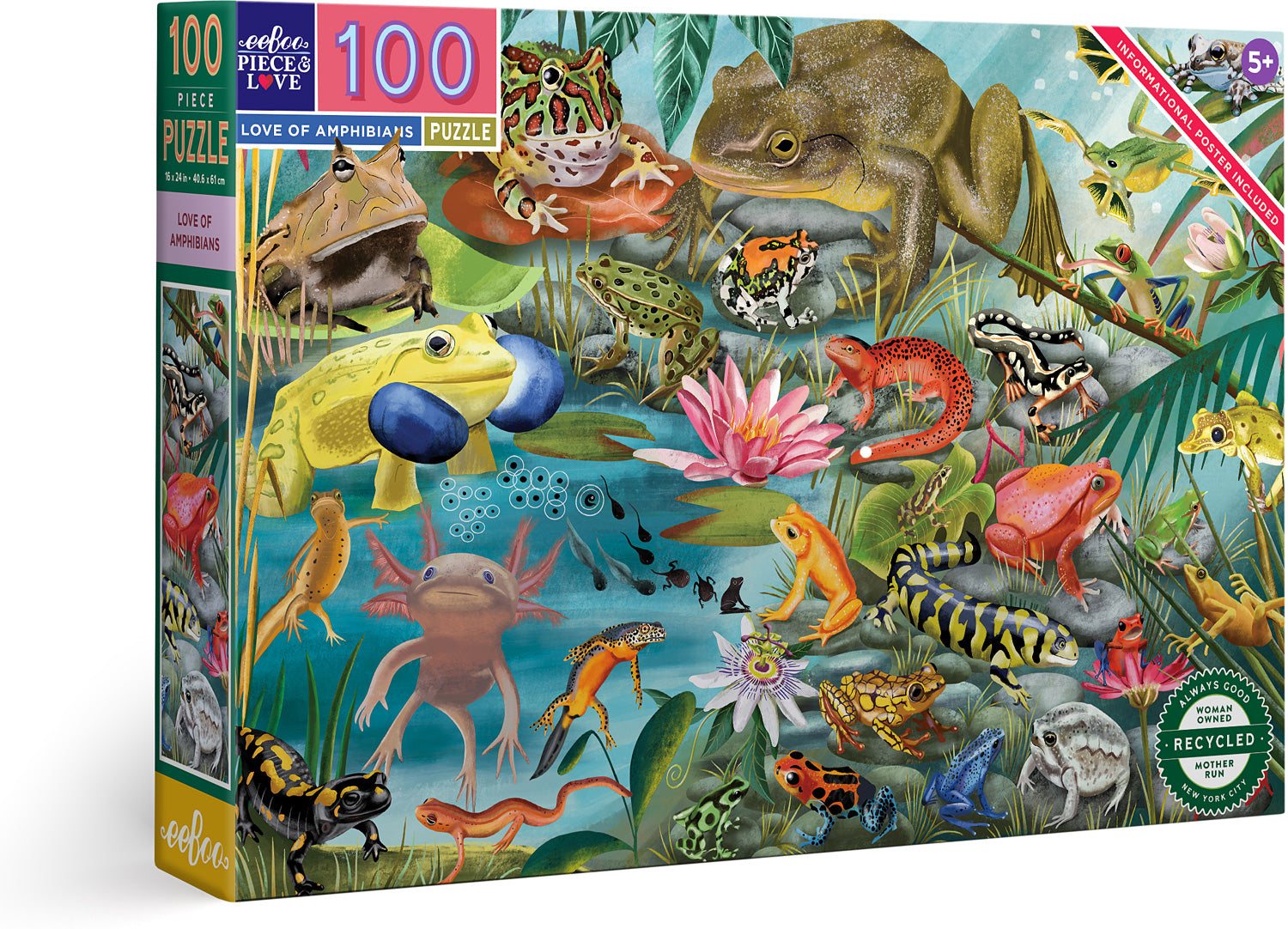 Love of Amphibians 100 Piece Puzzle - Saltire Games