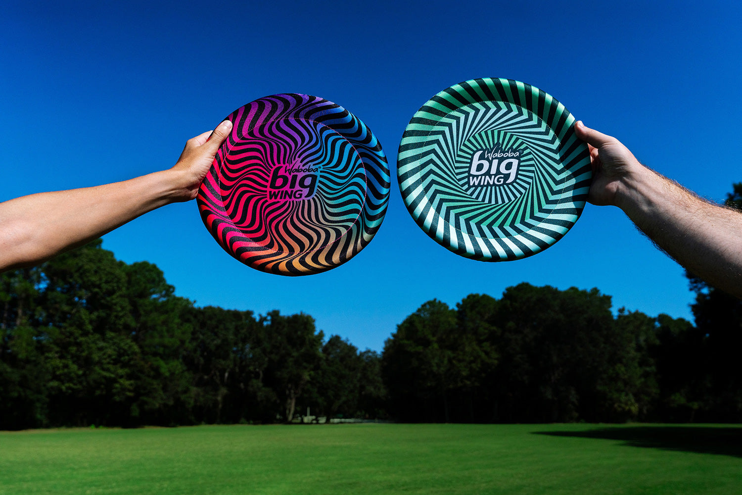 Big Wing Flying Disk Assorted - Saltire Games