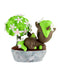 Botanical Bonsai Unicorno Blind Box - Saltire Games