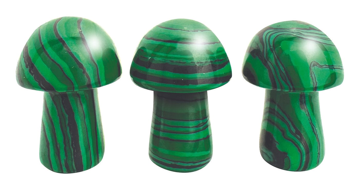 Stat Trackers: 5E ‘Shrooms - Saltire Games