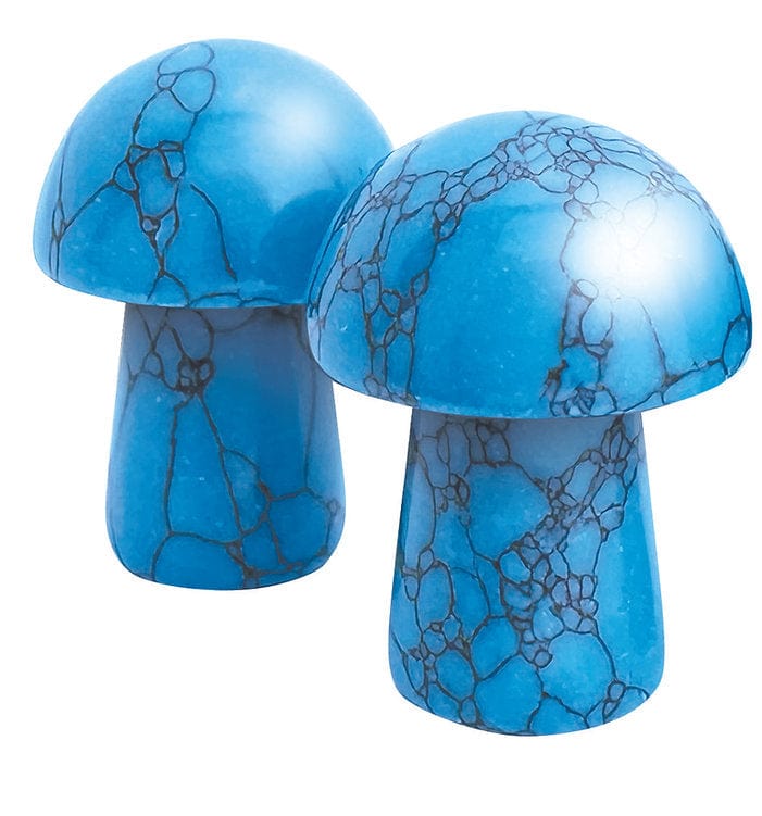 Stat Trackers: 5E ‘Shrooms - Saltire Games