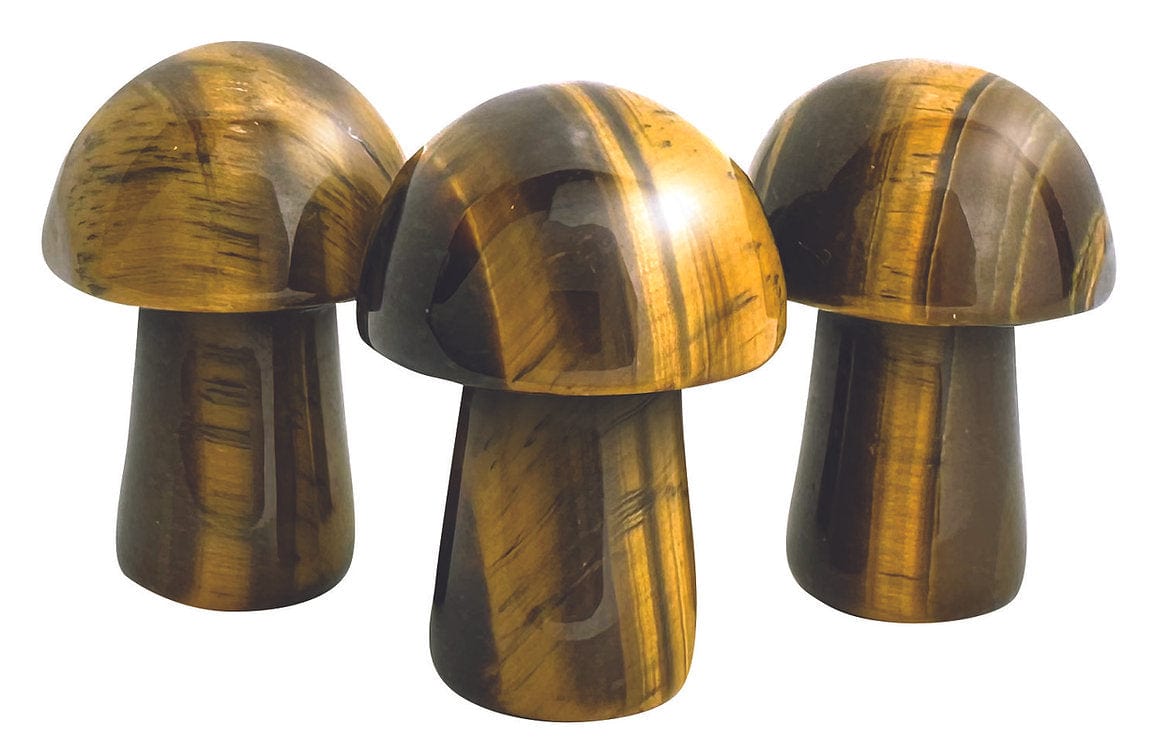 Stat Trackers: 5E ‘Shrooms - Saltire Games