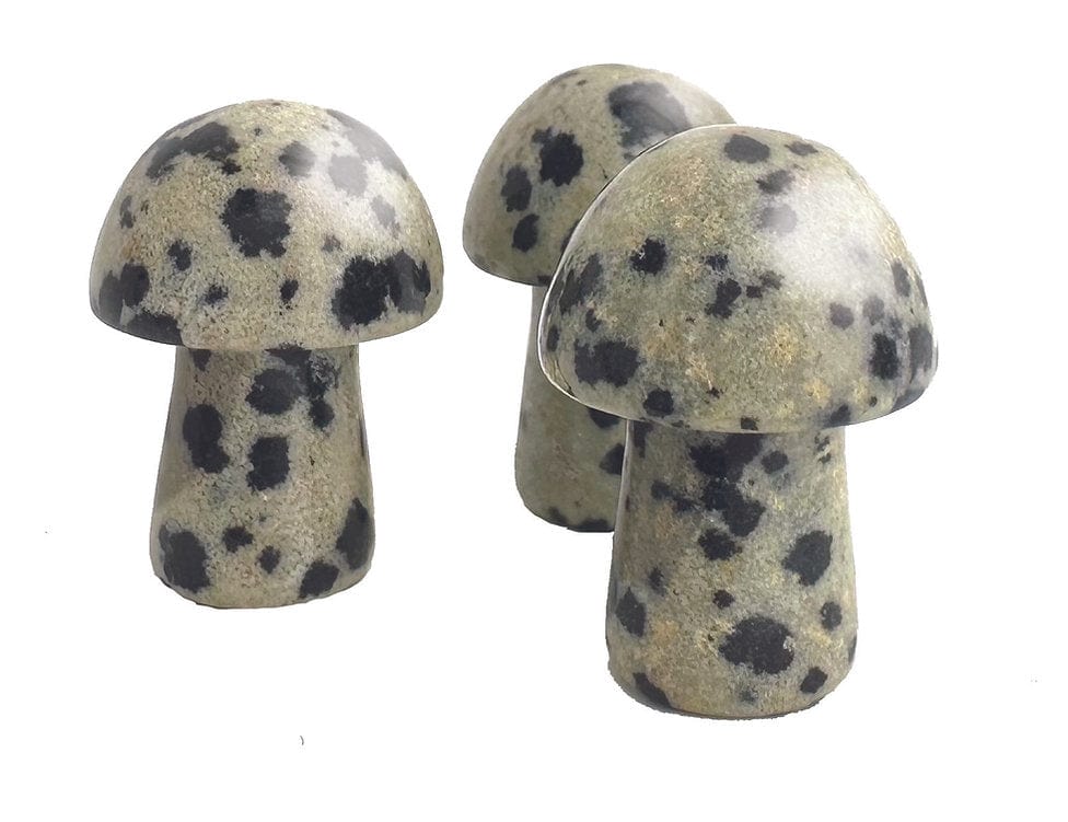 Stat Trackers: 5E ‘Shrooms - Saltire Games