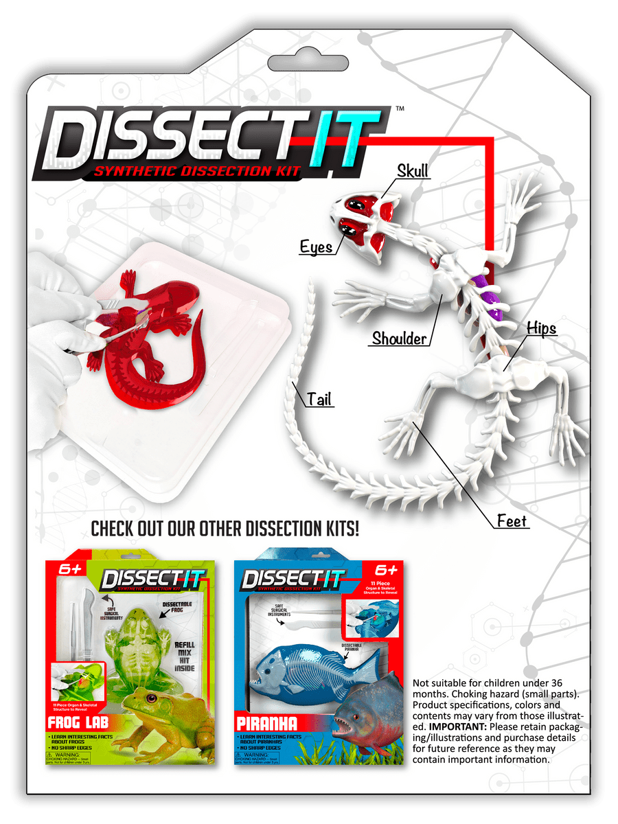Dissect-It Salamander Lab - Saltire Games