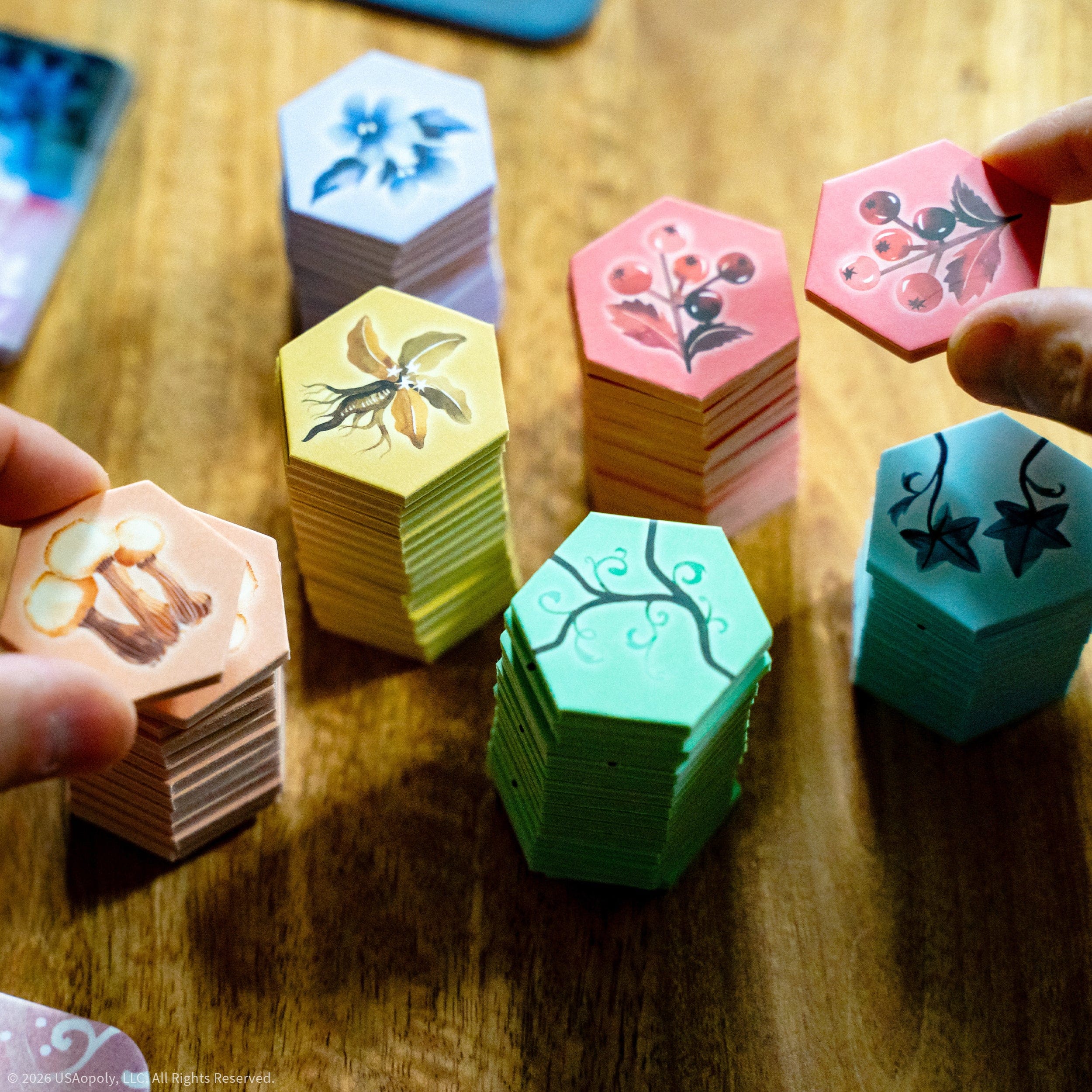 Board Games USAopoly Evenglow