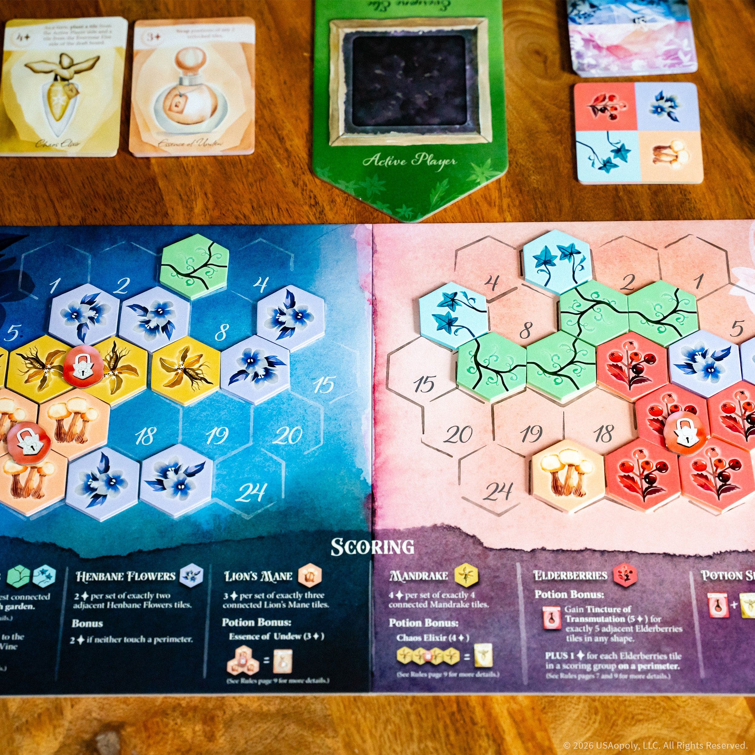 Board Games USAopoly Evenglow