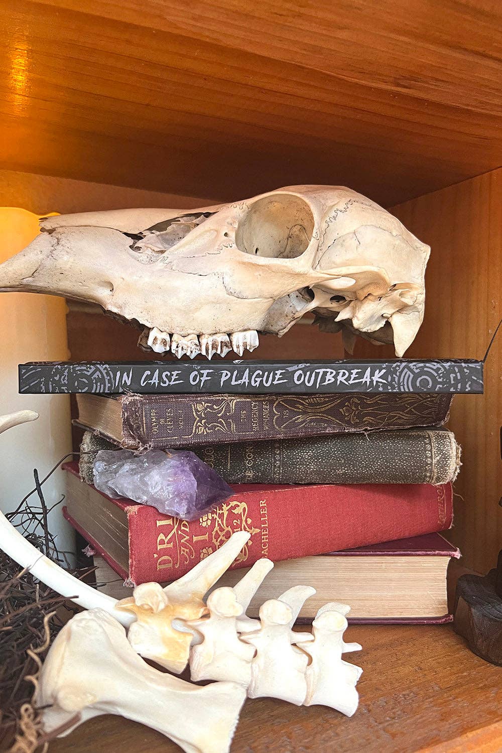 vampirefreaks Plague Doctor Journal