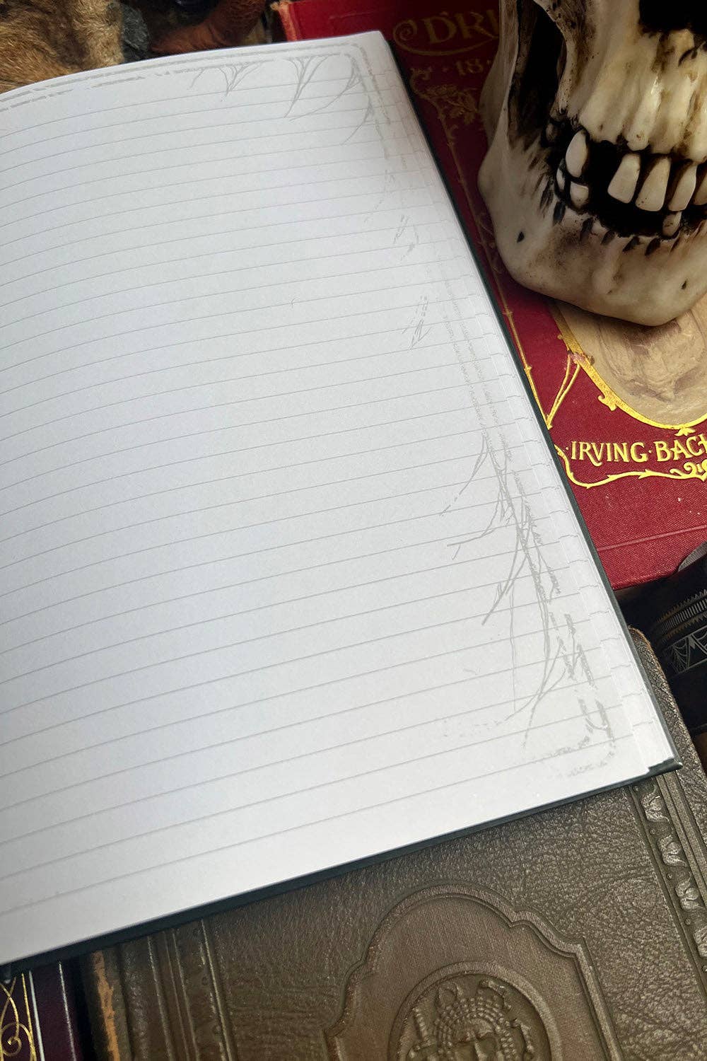 vampirefreaks Plague Doctor Journal