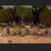 Wargames Atlantic - Goblin Warband - Saltire Games