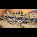 Wargames Atlantic - Skeleton Army - Saltire Games