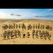Wargames Atlantic - Skeleton Army - Saltire Games