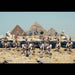 Wargames Atlantic - Skeleton Cavalry and Chariots - Saltire Games