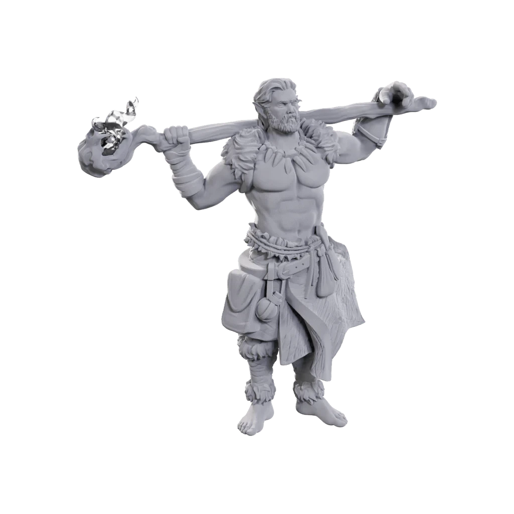 D&D Nolzur's Marvelous Miniatures: Archdruid & Martial Arts Adept - Saltire Games