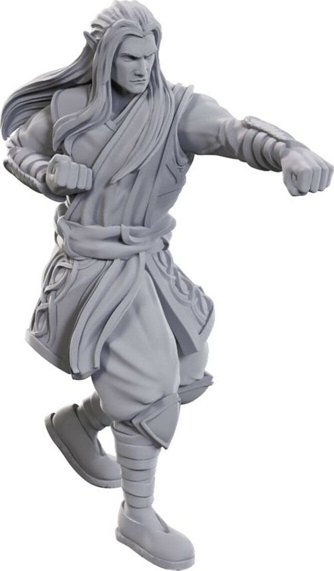 D&D Nolzur's Marvelous Miniatures: Archdruid & Martial Arts Adept - Saltire Games