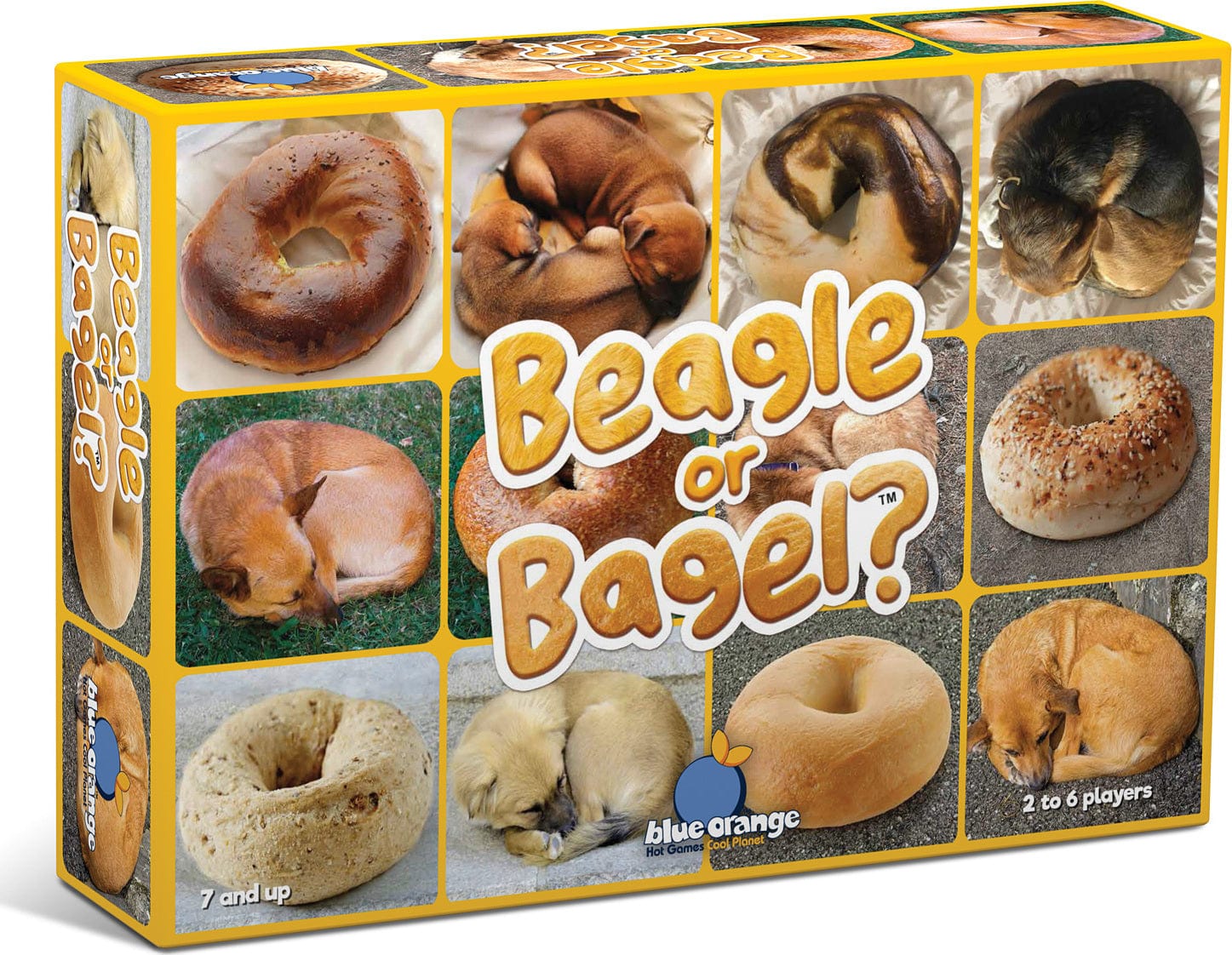 Beagle or Bagel? - Saltire Games