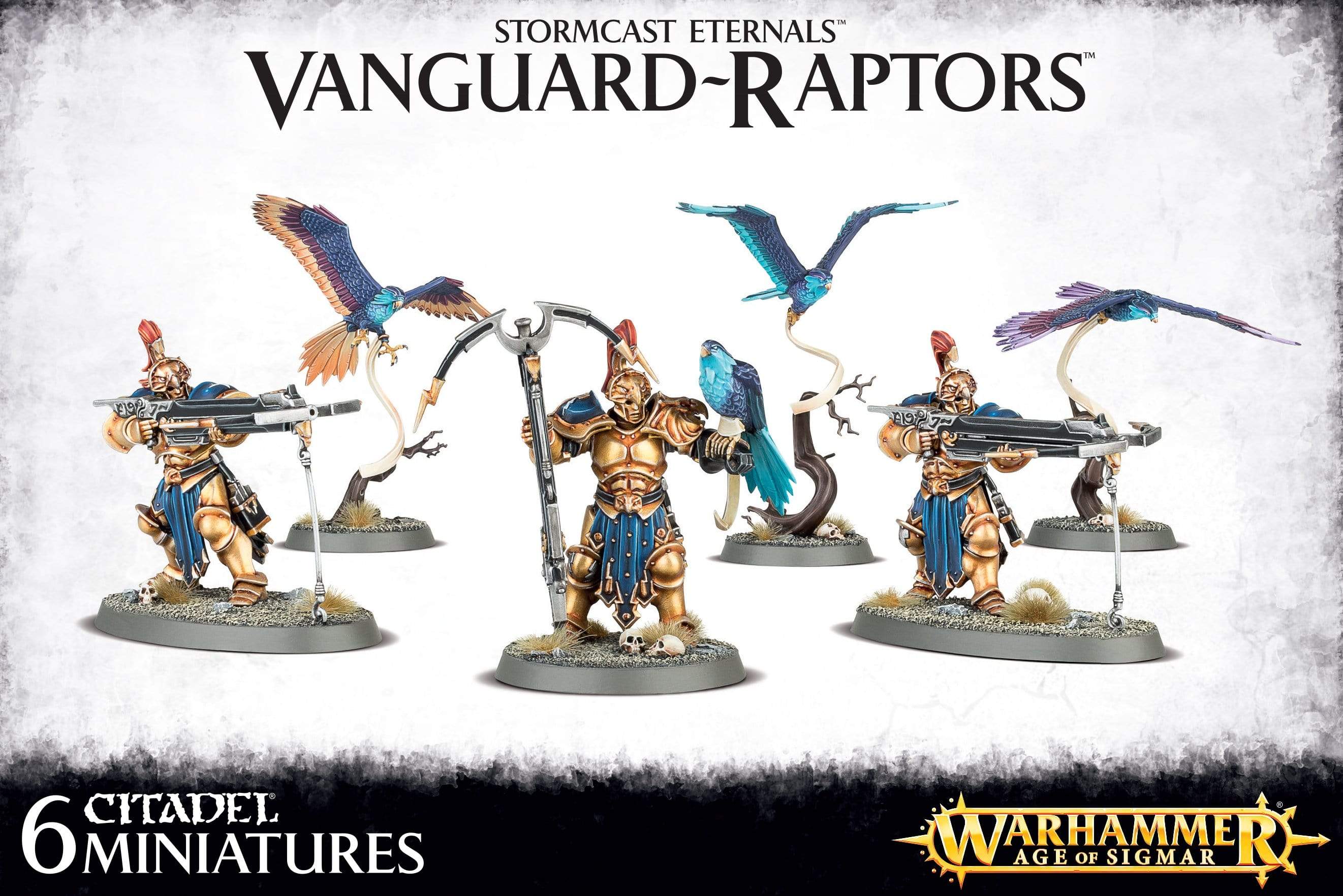 Vanguard Raptors - Saltire Games