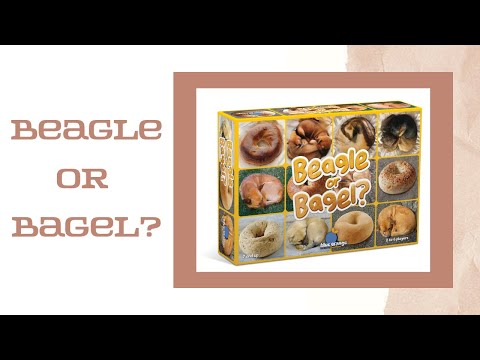 Beagle or Bagel? - Saltire Games