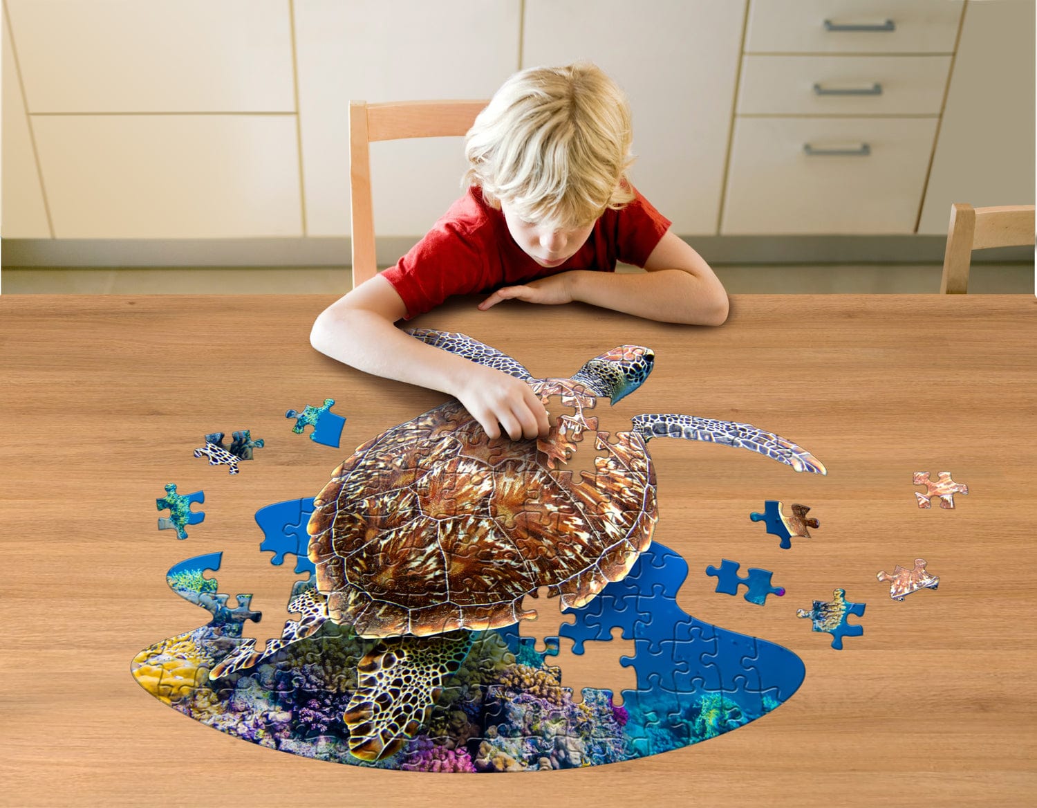 Madd Capp Puzzle Jr. - I Am Lil Sea Turtle - Saltire Games