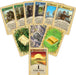 CATAN: Cities & Knights Game Expansion - Saltire Games