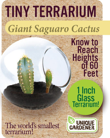 Giant Saguaro - Saltire Games