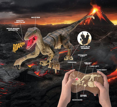 Remote Control Raptor Dinosaur - Saltire Games